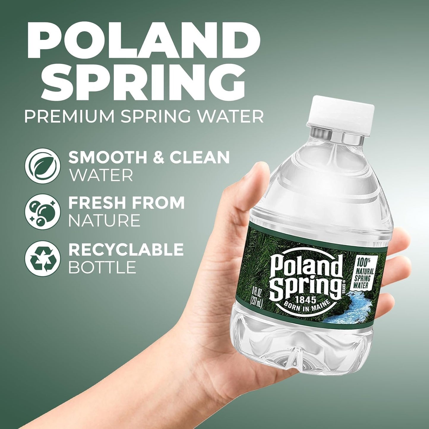 Poland-Spring 8 oz Mini Water Bottles - 24 Pack Mini Bottled Spring Water for On-the-Go and Home Office Use - BPA-Free in Award Box