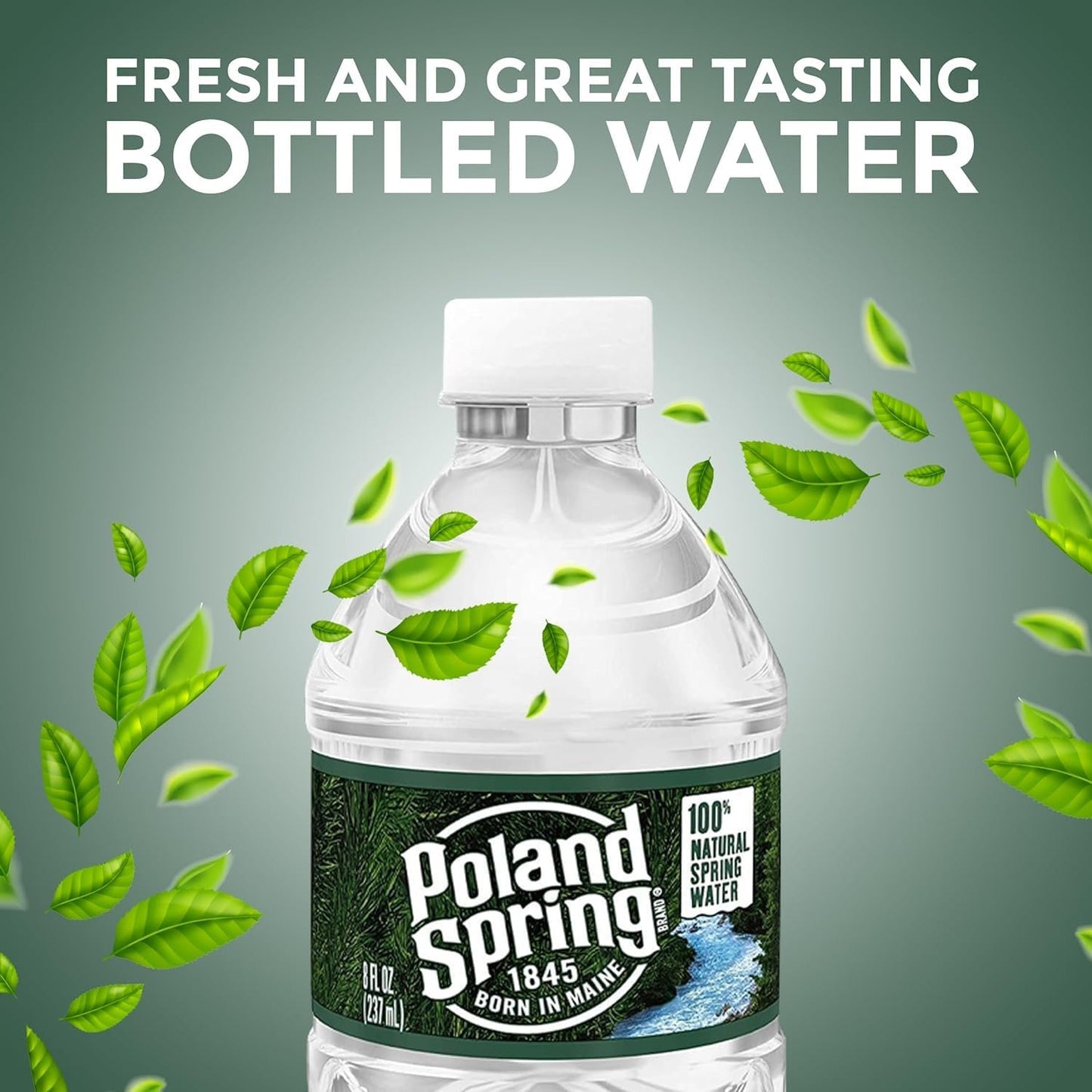 Poland-Spring 8 oz Mini Water Bottles - 24 Pack Mini Bottled Spring Water for On-the-Go and Home Office Use - BPA-Free in Award Box