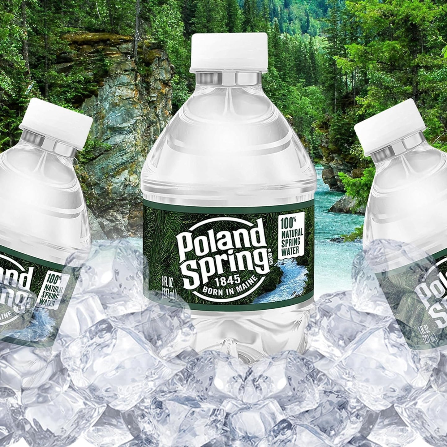 Poland-Spring 8 oz Mini Water Bottles - 24 Pack Mini Bottled Spring Water for On-the-Go and Home Office Use - BPA-Free in Award Box